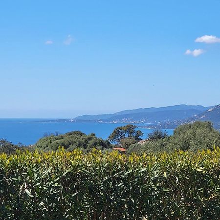 T2 Propriano Vue Mer, Neuf, Climatise Et Classe 3 Etoiles Viggianello Dış mekan fotoğraf