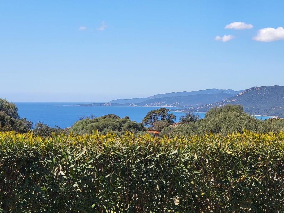 T2 Propriano Vue Mer, Neuf, Climatise Et Classe 3 Etoiles Viggianello Dış mekan fotoğraf