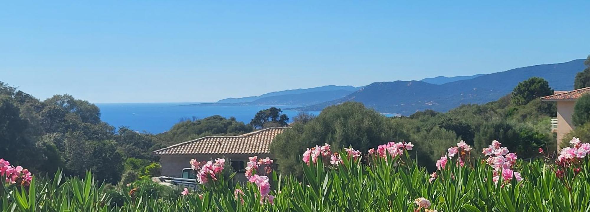 T2 Propriano Vue Mer, Neuf, Climatise Et Classe 3 Etoiles Viggianello Dış mekan fotoğraf
